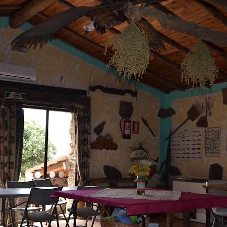 Albergue La Jarilla Plasenzuela Exteriör bild